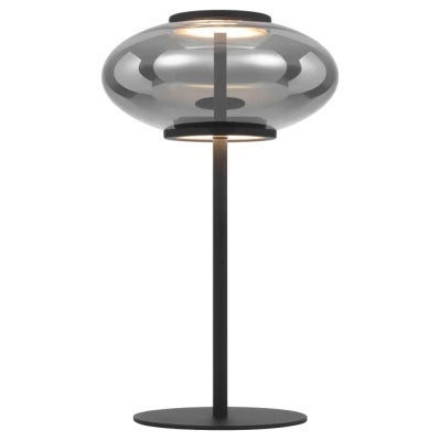 Tequo Iron & Glass Dimmable LED Table Lamp