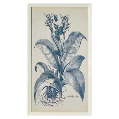 "Blue Botanics" Framed Wall Art Print, No.1, 70cm