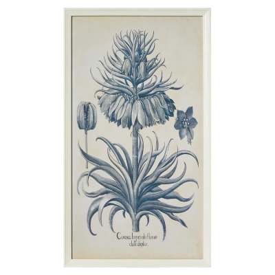 "Blue Botanics" Framed Wall Art Print, No.2, 70cm