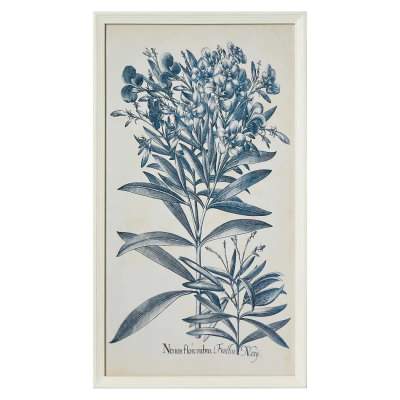 "Blue Botanics" Framed Wall Art Print, No.3, 70cm