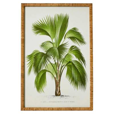 "Palm Botanical" Framed Wall Art Print, No.1, 90cm