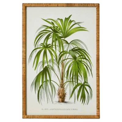 "Palm Botanical" Framed Wall Art Print, No.2, 90cm