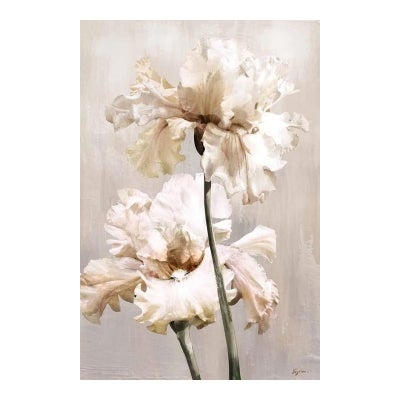 "Bearded Iris" Framed Canvas Wall Art, Type A, 122cm