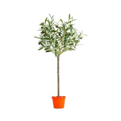 Potted Artificial Olive Topiary Tree, 65cm