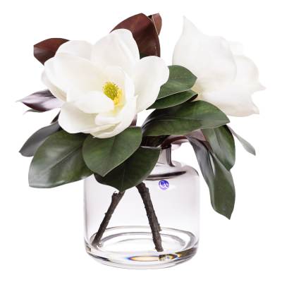 Eloise Artificial Magnolia Arrangement in Vase, 40cm