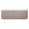 Nude Velvet Fabric