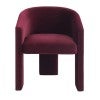Wine Velvet Fabric