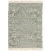 Asiatic Vigo Hand Woven Designer Jute & Wool Rug, 120x170cm, Green