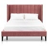 Blush Velvet Fabric