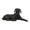 Briallen Aluminium Laying Dog Door Stopper