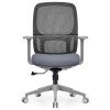 Grey / Charcoal