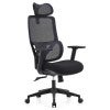 Eregion Mesh Fabric High Back Ergonomic Office Chair with Headrest, Black