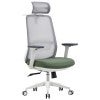 FormIQ Mesh Fabric High Back Ergonomic Office Chair with Headrest, White / Green
