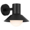Delore IP44 Exterior Wall Light, Black
