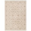 Delphine Warm Biscotti Oriental Rug, 330x240cm-I