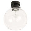 Black / Clear