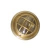 Antique Brass 