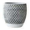 Phadera Concrete Pot