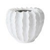 Zasha Ceramic Pot
