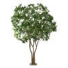 Forestia Potted Artificial Pachira Aquatica Tree with Base Plate, 290cm