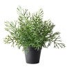 Forestia Potted Artificial Staghorn Fern Plant, 71cm