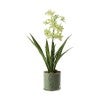 Light Green Flower