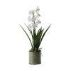 White Flower