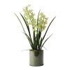 Light Green Flower