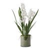 White Flower
