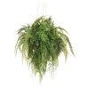 Forestia Artificial Hanging Mixed Fern, 80cm