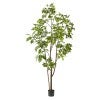 Forestia Potted Real Touch Artificial Japanese Lacquer Tree, 250cm