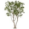 Real Touch Artificial Japanese Andromeda Tree with Base Plate, 290cm