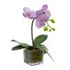 Lavender Flower