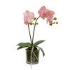 Light Mauve Flower