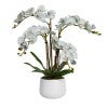 Grey Flower