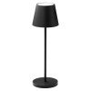 Enoki IP44 Indoor / Outdoor Portable Colour Changing Touch Table Lamp, Black