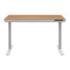 Flexrise Electric Standing Desk, 120cm