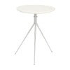Ivory / Sliver