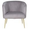 Grey / Gold