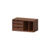 Boxwood