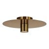 Brushed Brass