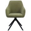 Olive Fabric