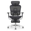 Ergopro Pro Mesh Fabric High Back Ergonomic Office Chair with Retractable Footrest, Black