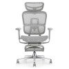 Ergopro Pro Mesh Fabric High Back Ergonomic Office Chair with Retractable Footrest, Grey