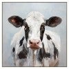 Holstein