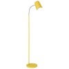 Matt Yellow