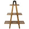 Groveland Mango Wood Ladder Rack, Large, Natural