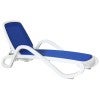 Blue / White