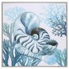 Nautilus