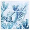 Conch